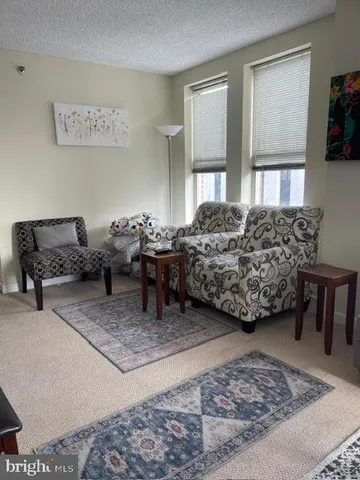 a living room with furniture rug and window