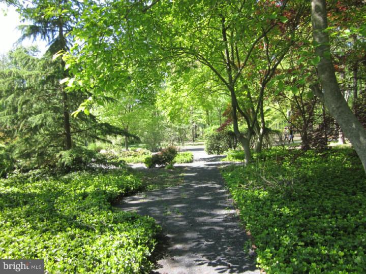 747 Westfield Road Moorestown, NJ 08057 - Photo 25 of 25