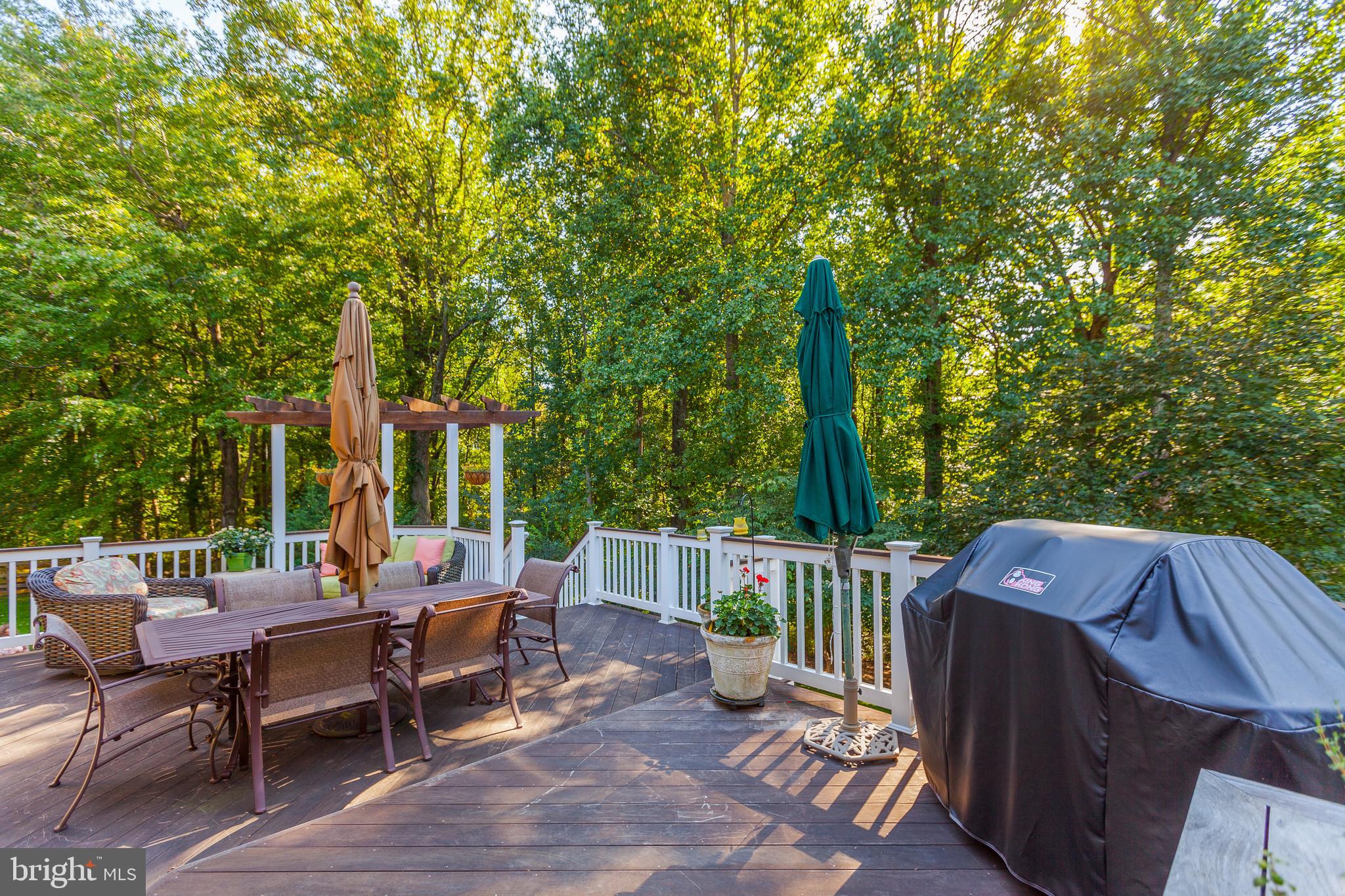 4514 Random Ridge Circle Olney, MD 20832 - Photo 68 of 70 Gallery Image 68