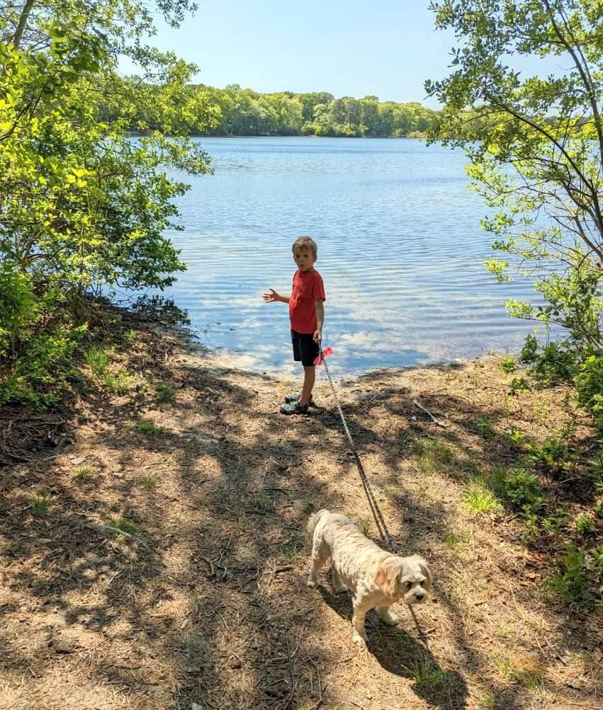 52 Goose Point Road Centerville, MA 02601 - Photo 4 of 71 Deeded beach area