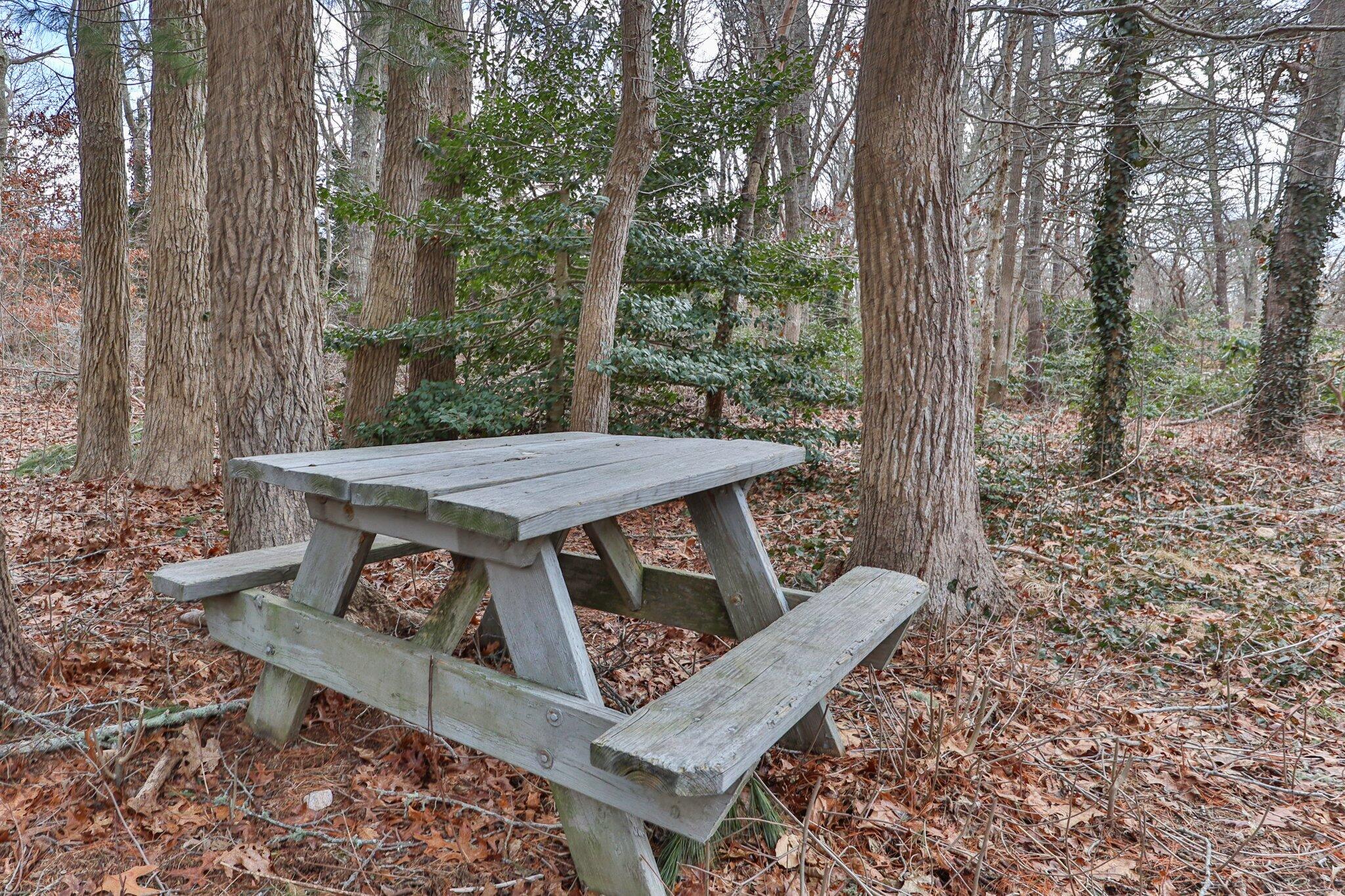 52 Goose Point Road Centerville, MA 02601 - Photo 60 of 71 Yard ~ picnic area