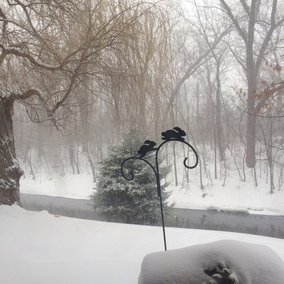 1-s055 Spring Road, Unit 1C Oak Brook, IL 60181 - Photo 18 of 24