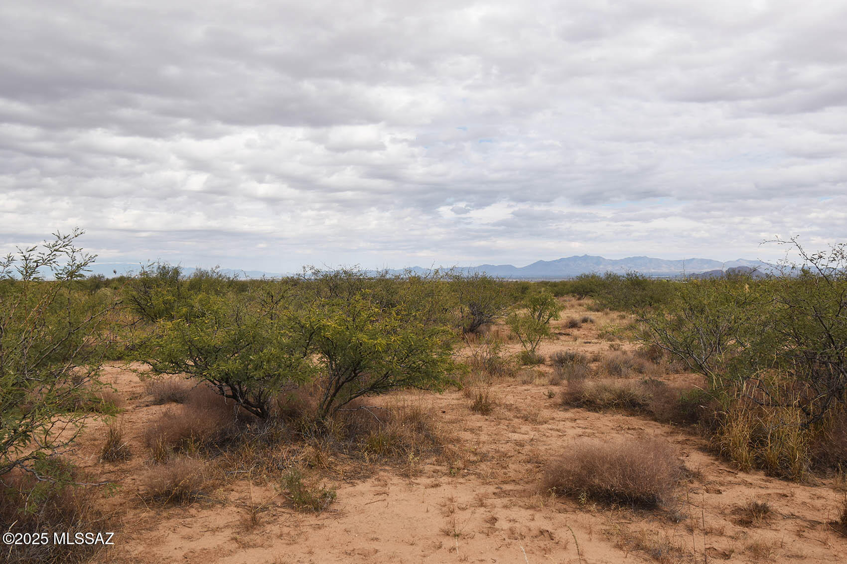 4-lots 4-lots Unnamed Road, Unit 456 Pearce, AZ 85625 - Photo 8 of 20