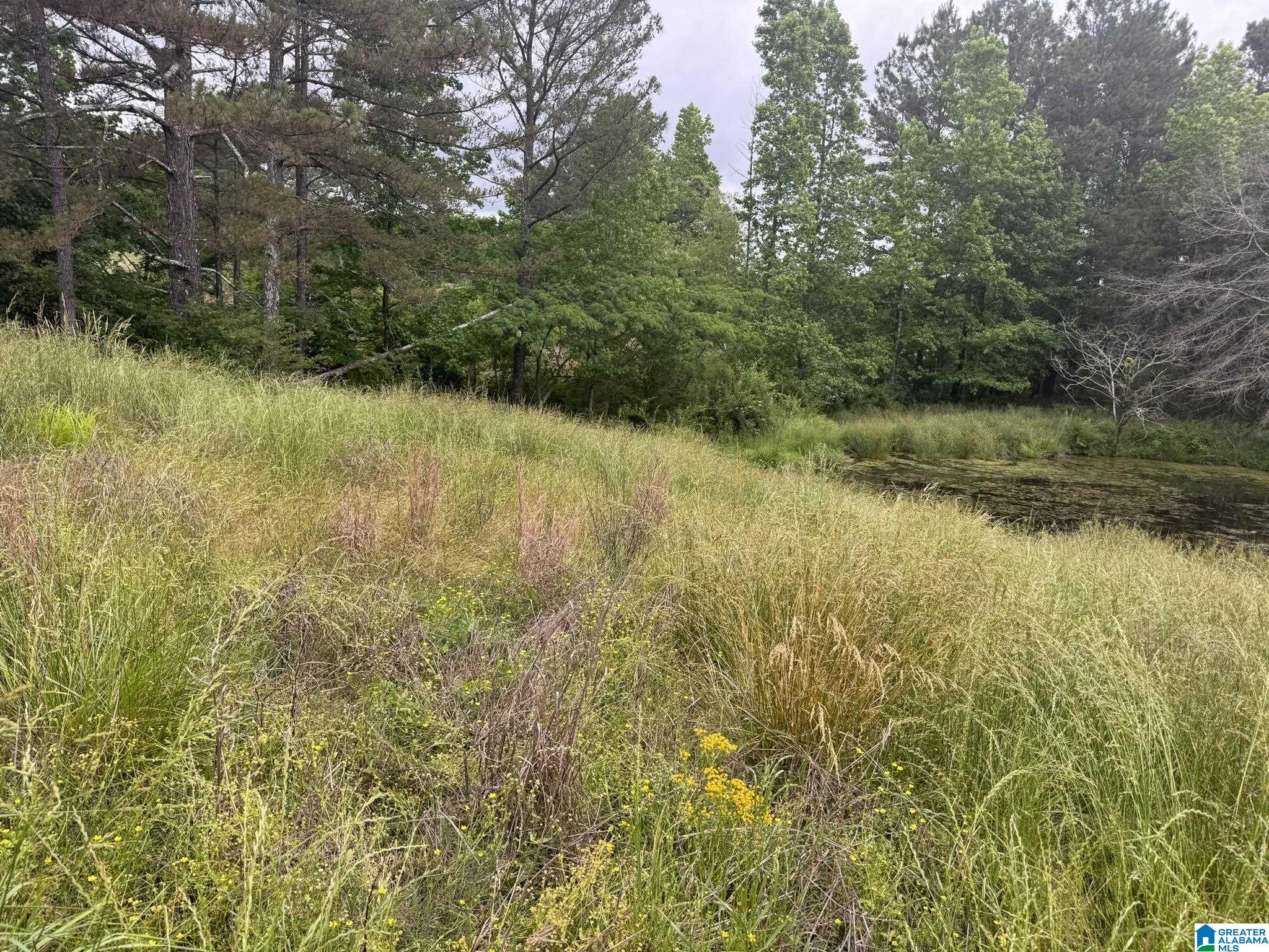 0 Busby Cut Off Road Nauvoo, AL 35578 - Photo 1 of 7
