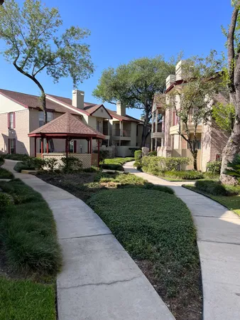 a view of a yard with plants and a fountain