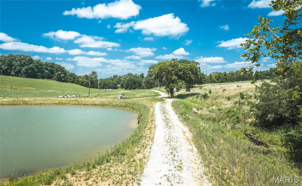 171 Czar Tower Road Steelville, MO 65565 - Photo 7 of 54