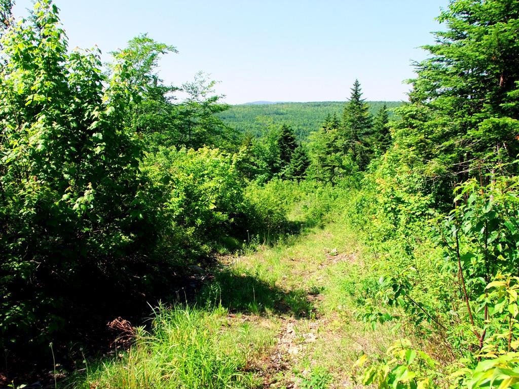Lot 10 Emery Road Houlton, ME 04730 - Photo 8 of 30 Photo