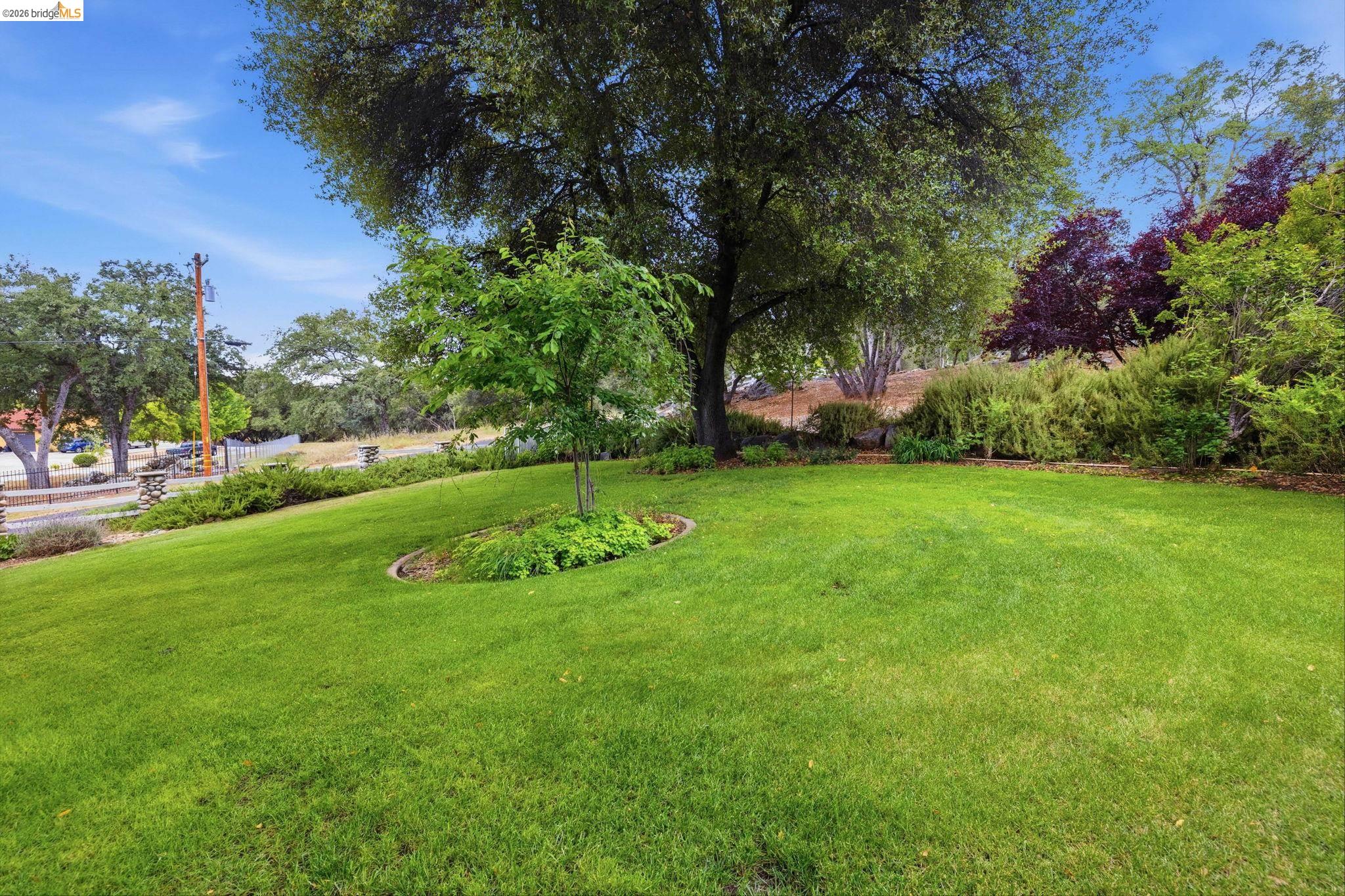 18450 Lambert Lake Road Sonora, CA 95370 - Photo 6 of 87 Expansive lawn with mature trees and established landscaping