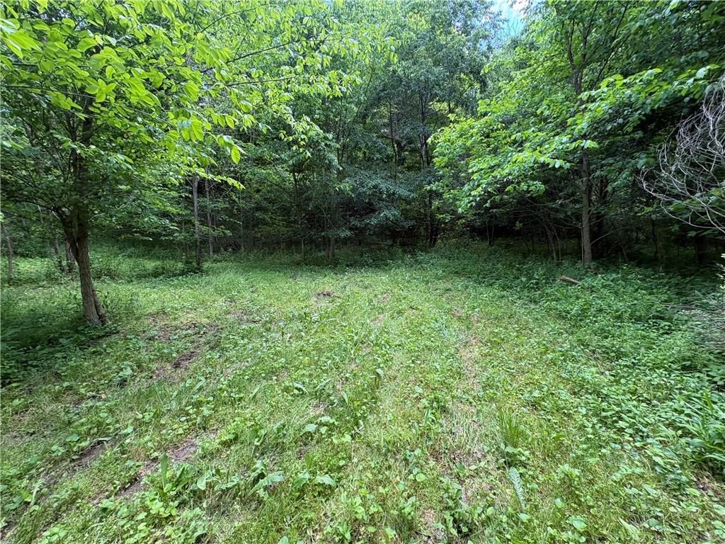 588 Georgetown Road Georgetown, PA 15043 - Photo 10 of 14