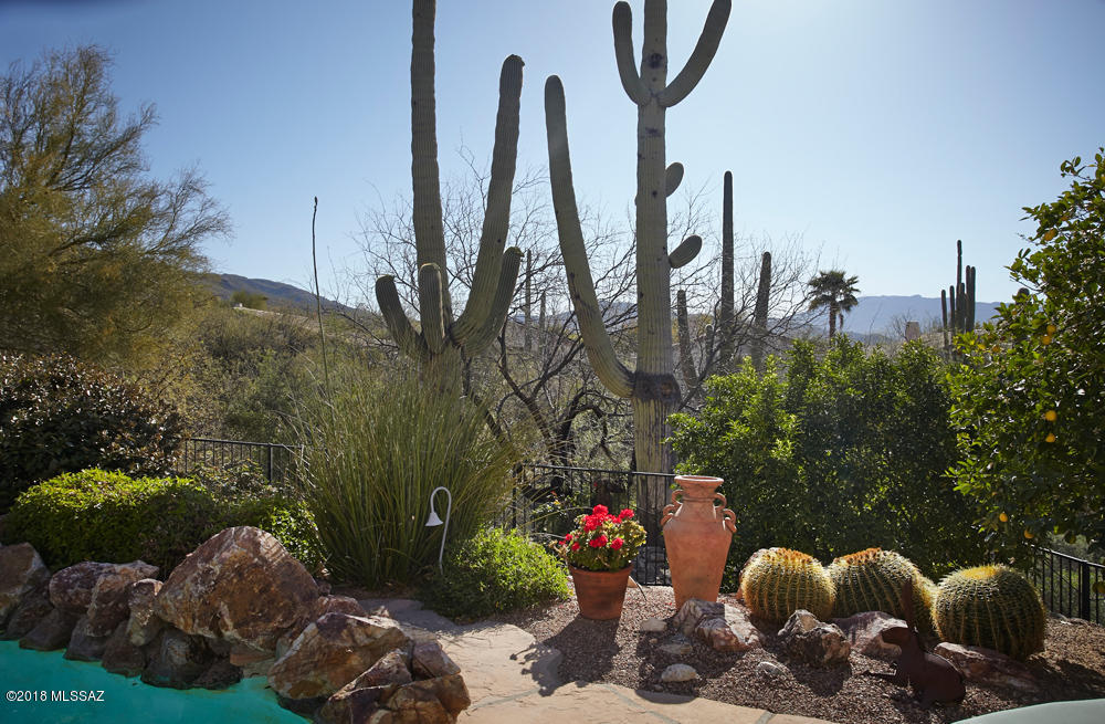 5298 North Ridge Spring Place Tucson, AZ 85749 - Photo 38 of 39 Gallery Image 38