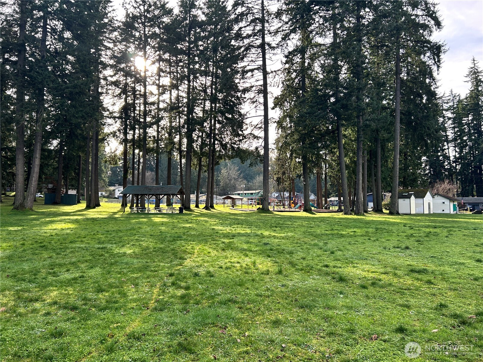 7910 Husky Way Southeast Lacey, WA 98503 - Photo 34 of 36 a view of a park with large trees