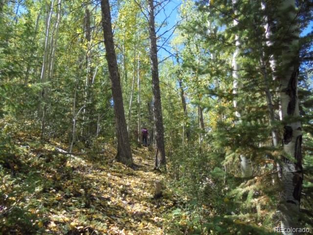 1 Chinook Road Idaho Springs, CO 80452 - Photo 16 of 19 Gallery Image 16