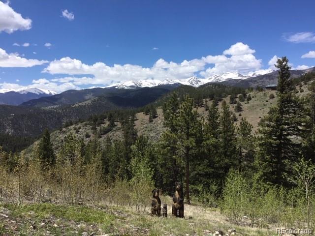 1 Chinook Road Idaho Springs, CO 80452 - Photo 19 of 19 Gallery Image 19