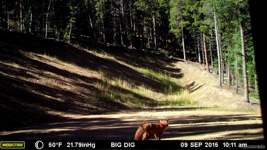 1 Chinook Road Idaho Springs, CO 80452 - Photo 3 of 19 Gallery Image 3