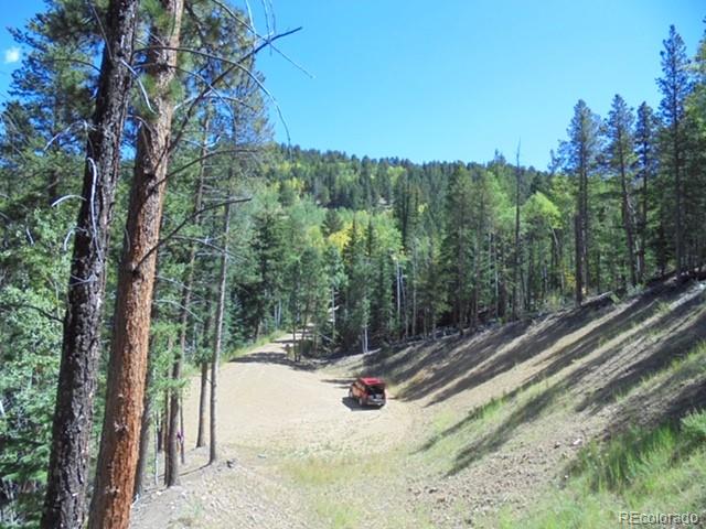 1 Chinook Road Idaho Springs, CO 80452 - Photo 5 of 19 Gallery Image 5