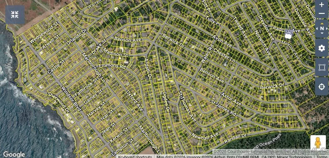 0 Radcliff Avenue Cambria, CA 93428 - Photo 7 of 8 a close up of a plant