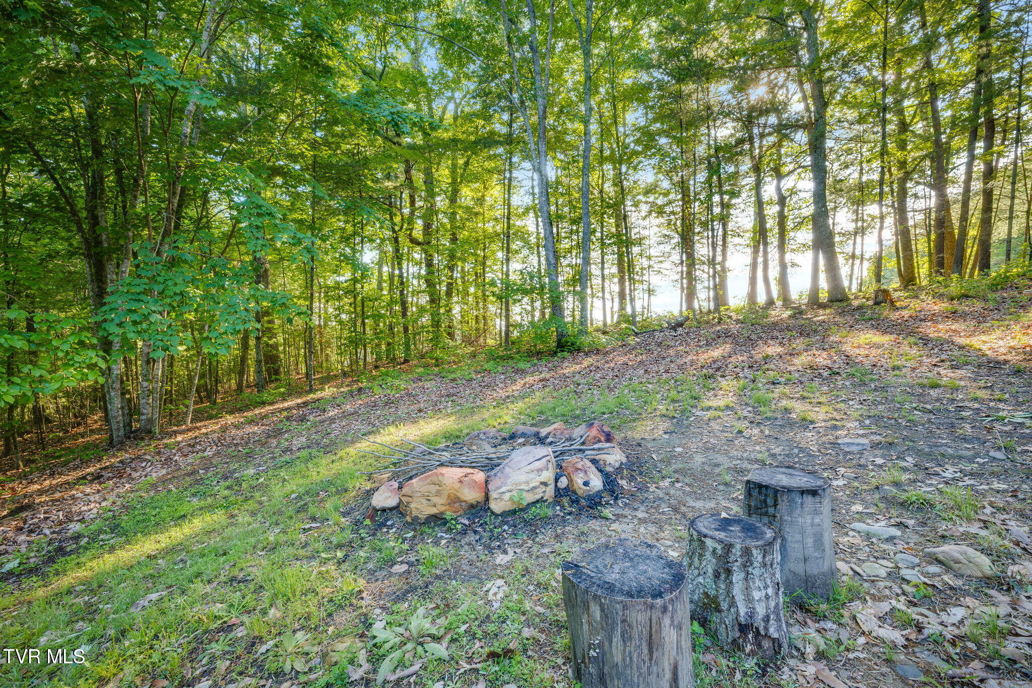 200 Preacher Laws Road Afton, TN 37616 - Photo 19 of 30 024