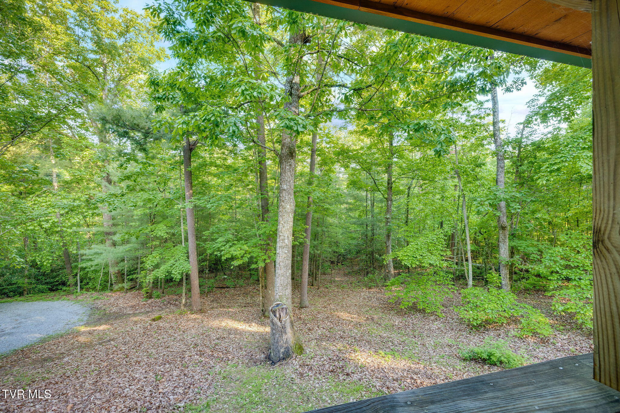200 Preacher Laws Road Afton, TN 37616 - Photo 21 of 30 006