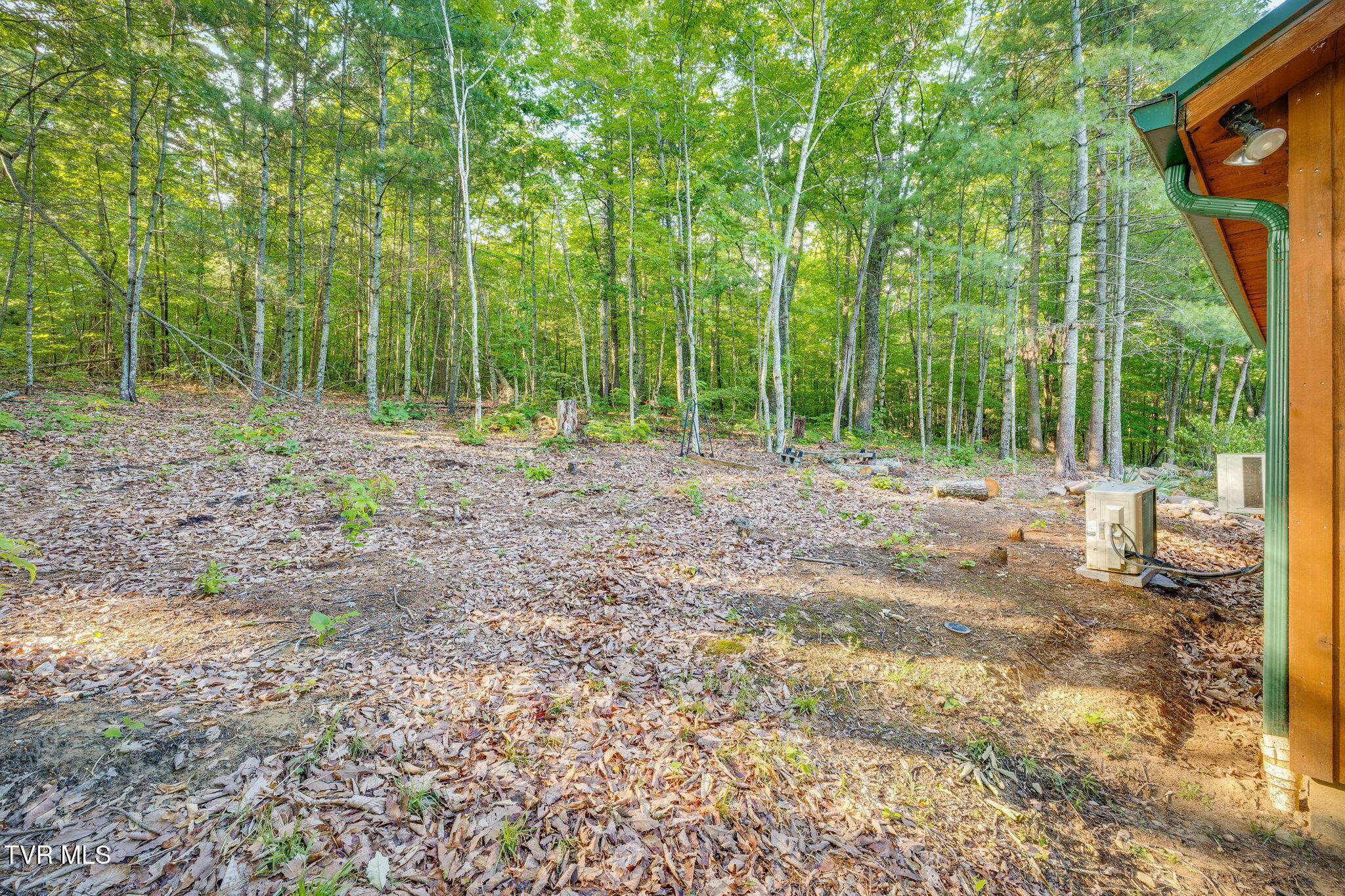 200 Preacher Laws Road Afton, TN 37616 - Photo 23 of 30 023