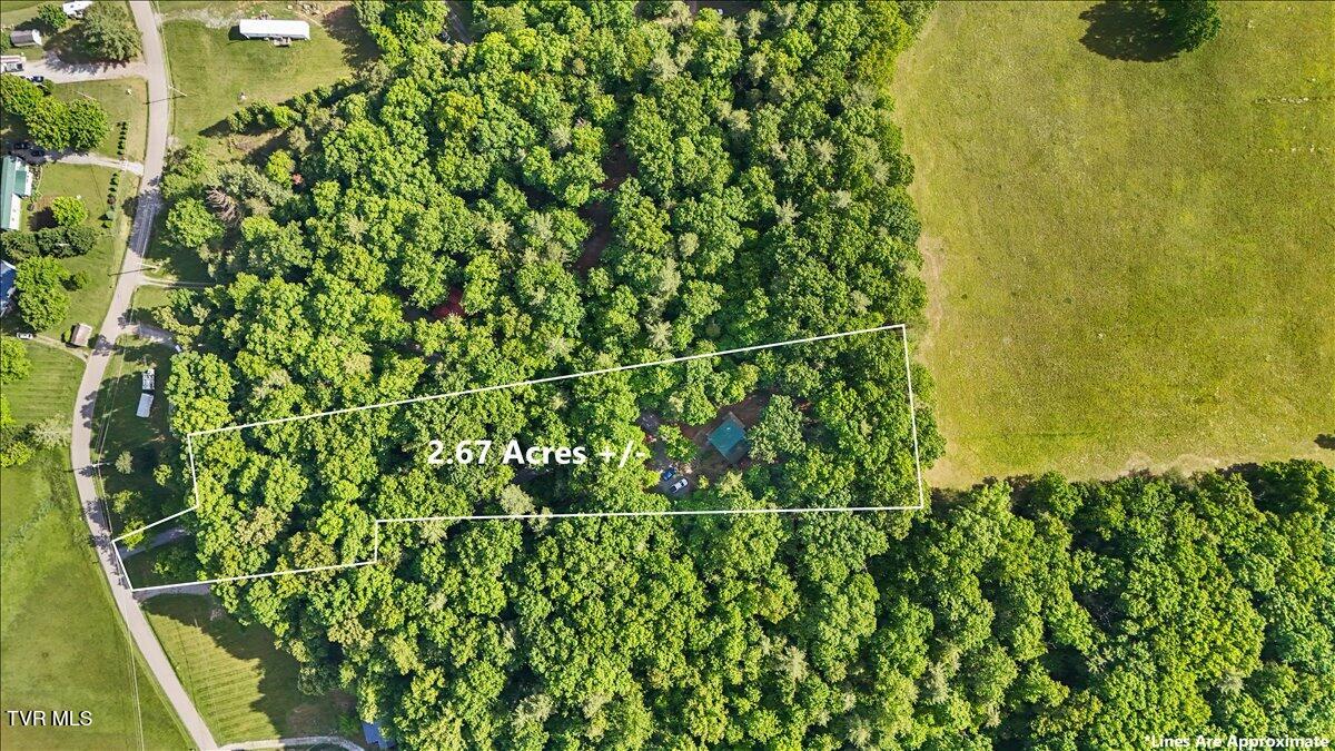 200 Preacher Laws Road Afton, TN 37616 - Photo 27 of 30 09-dji_fly_20260511_172648_0055_17785615