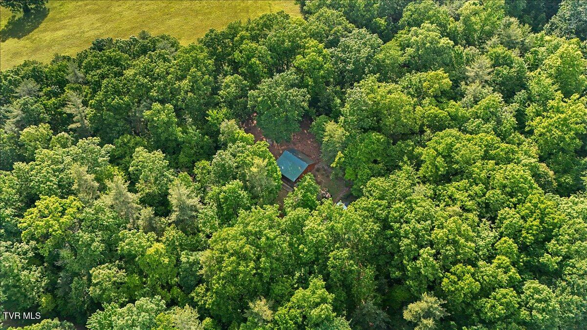 200 Preacher Laws Road Afton, TN 37616 - Photo 6 of 30 07-dji_fly_20260511_172932_0062_17785615