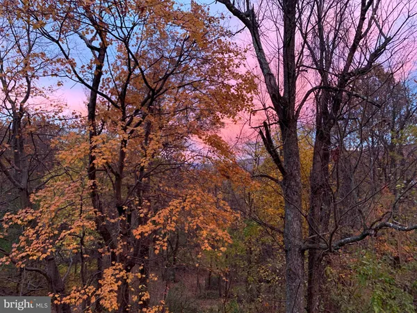 a backyard of a house with lots of trees