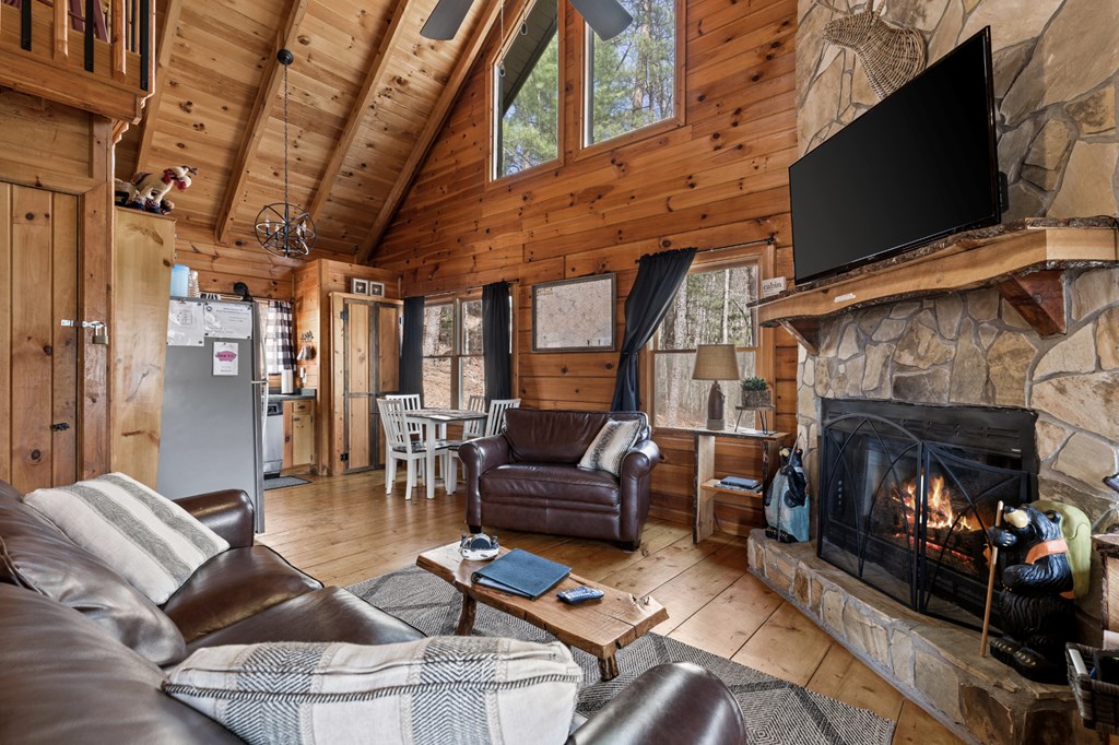 272 Laurel Mountain Road Blue Ridge, GA 30513 - Photo 11 of 56