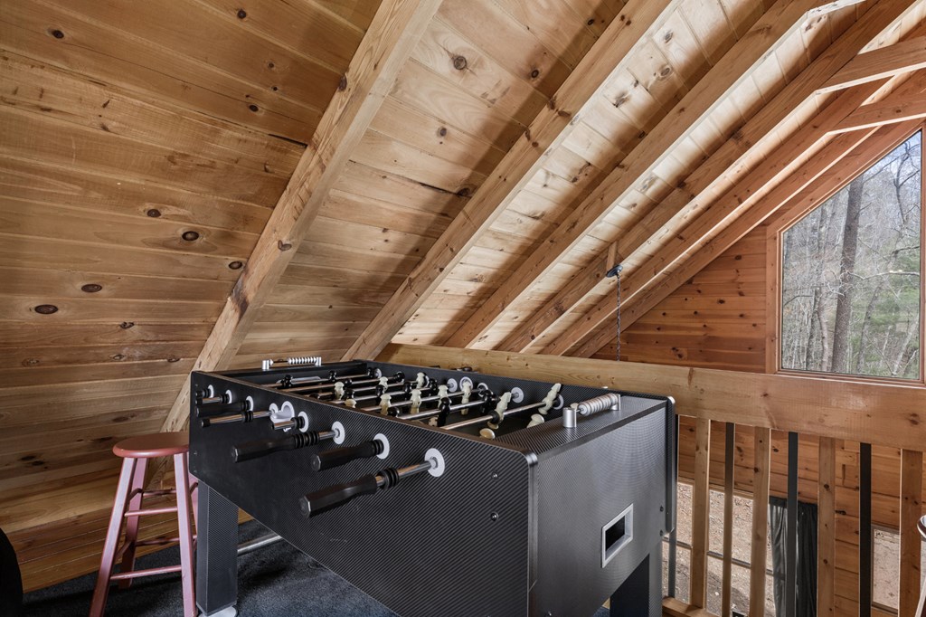 272 Laurel Mountain Road Blue Ridge, GA 30513 - Photo 23 of 56