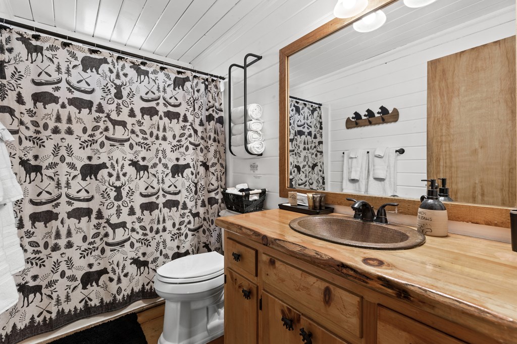 272 Laurel Mountain Road Blue Ridge, GA 30513 - Photo 24 of 56