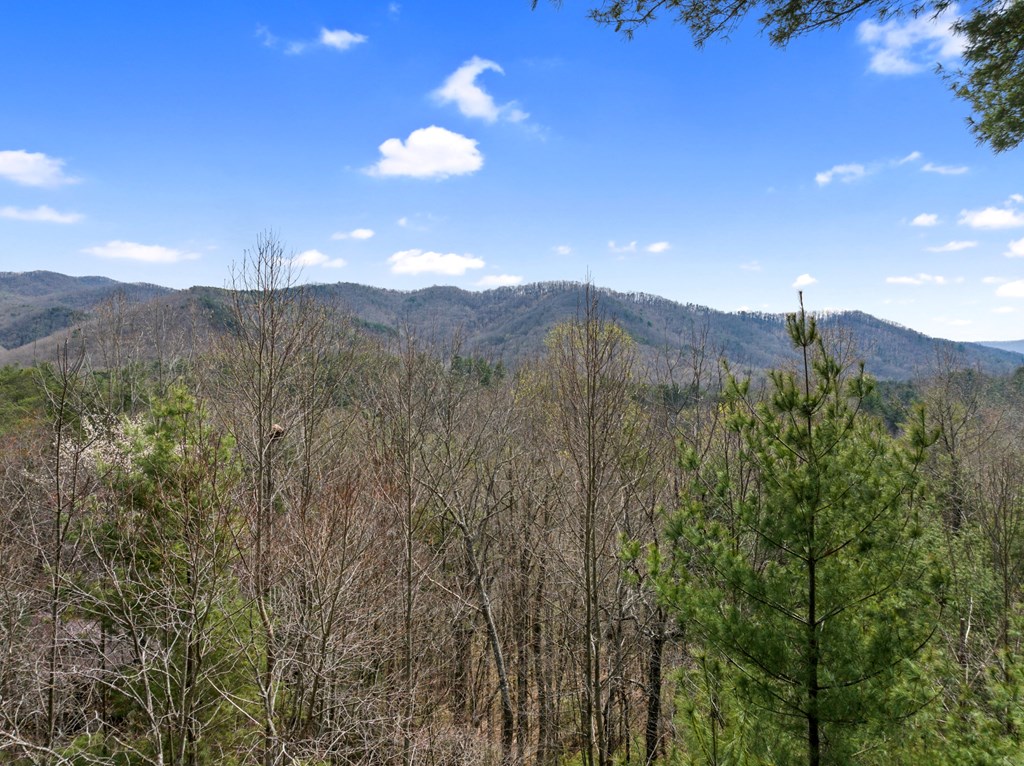 272 Laurel Mountain Road Blue Ridge, GA 30513 - Photo 26 of 56