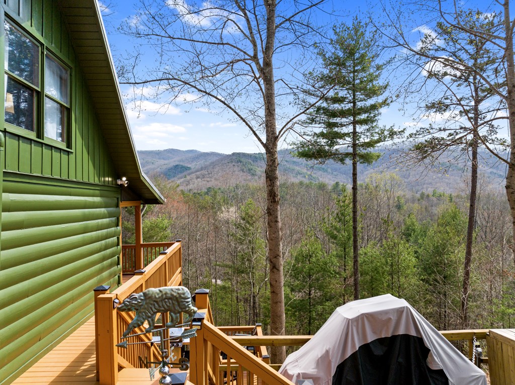 272 Laurel Mountain Road Blue Ridge, GA 30513 - Photo 33 of 56