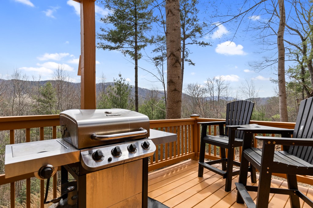 272 Laurel Mountain Road Blue Ridge, GA 30513 - Photo 39 of 56
