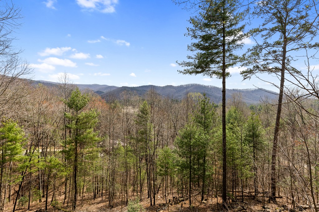 272 Laurel Mountain Road Blue Ridge, GA 30513 - Photo 40 of 56