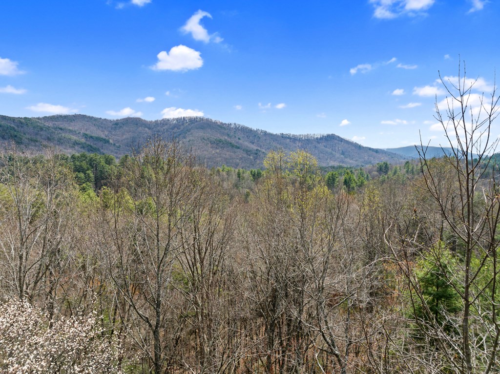 272 Laurel Mountain Road Blue Ridge, GA 30513 - Photo 41 of 56