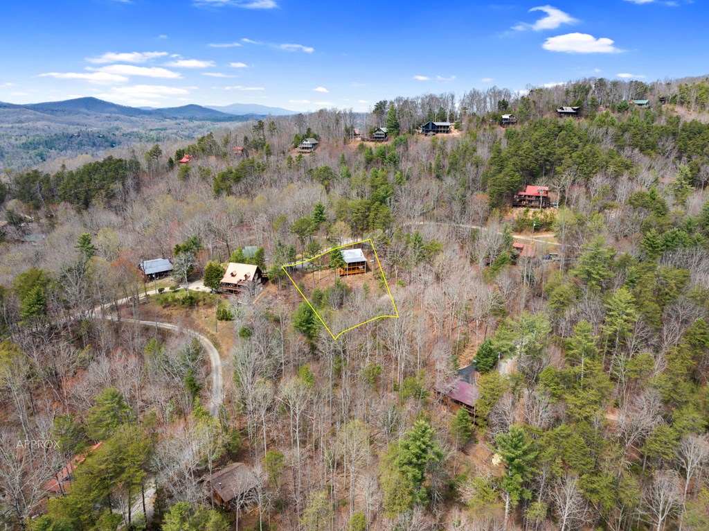 272 Laurel Mountain Road Blue Ridge, GA 30513 - Photo 43 of 56