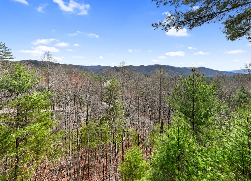 272 Laurel Mountain Road Blue Ridge, GA 30513 - Photo 45 of 56