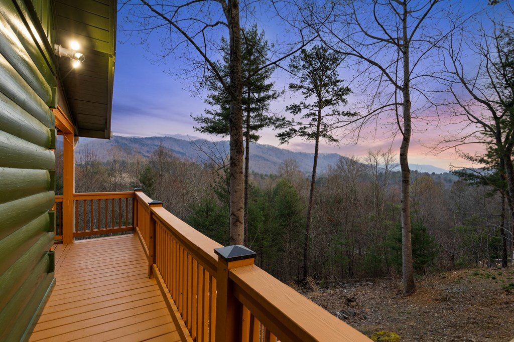 272 Laurel Mountain Road Blue Ridge, GA 30513 - Photo 46 of 56