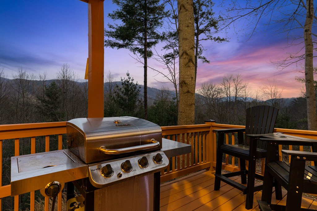 272 Laurel Mountain Road Blue Ridge, GA 30513 - Photo 51 of 56