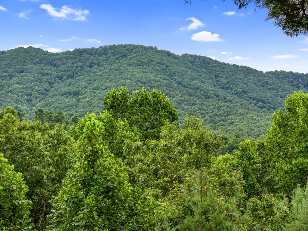 272 Laurel Mountain Road Blue Ridge, GA 30513 - Photo 53 of 56