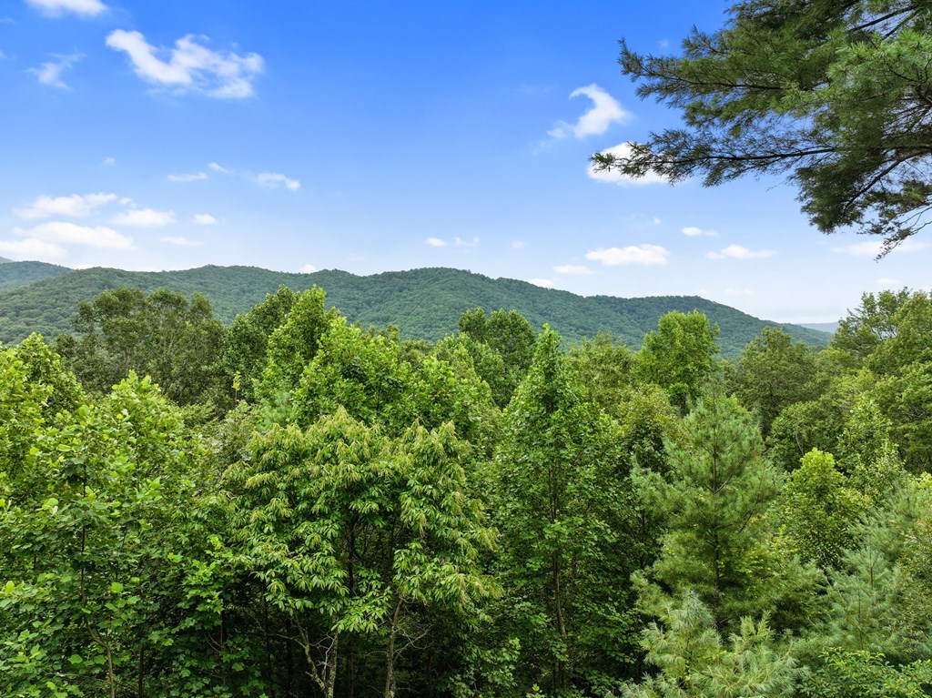 272 Laurel Mountain Road Blue Ridge, GA 30513 - Photo 54 of 56