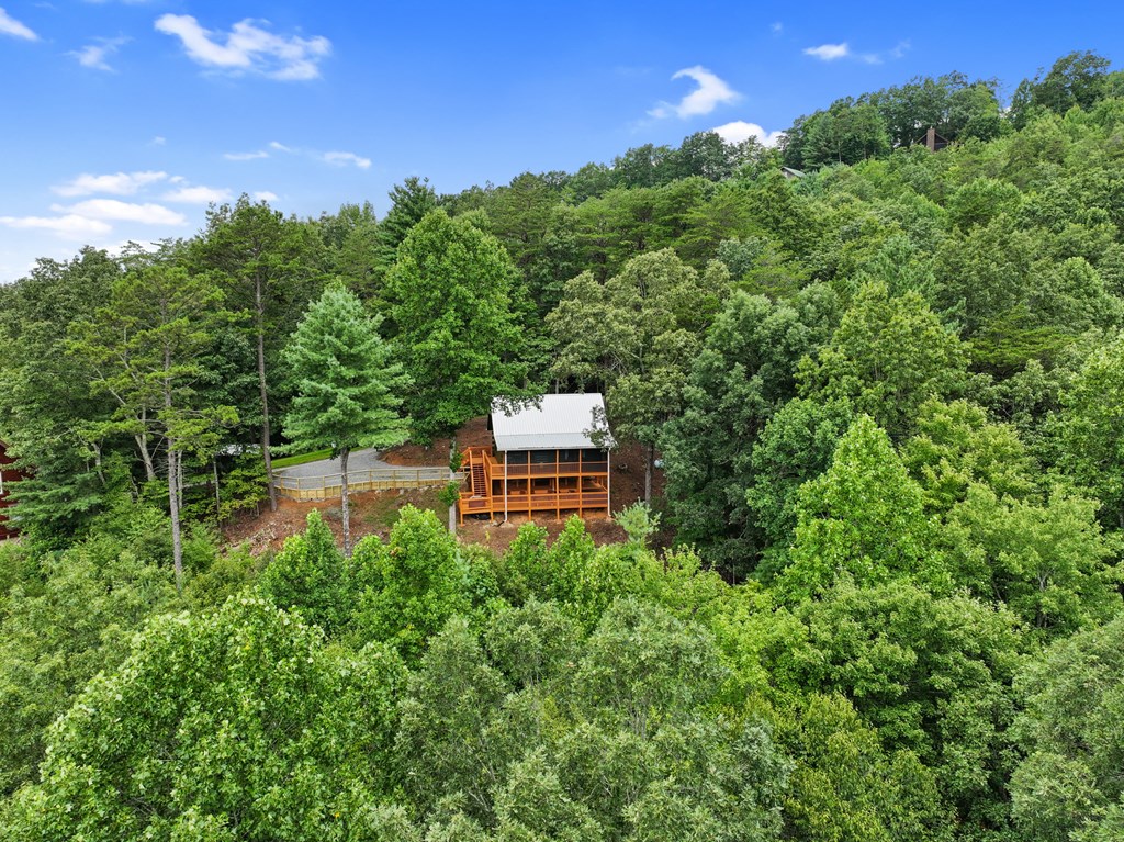 272 Laurel Mountain Road Blue Ridge, GA 30513 - Photo 55 of 56
