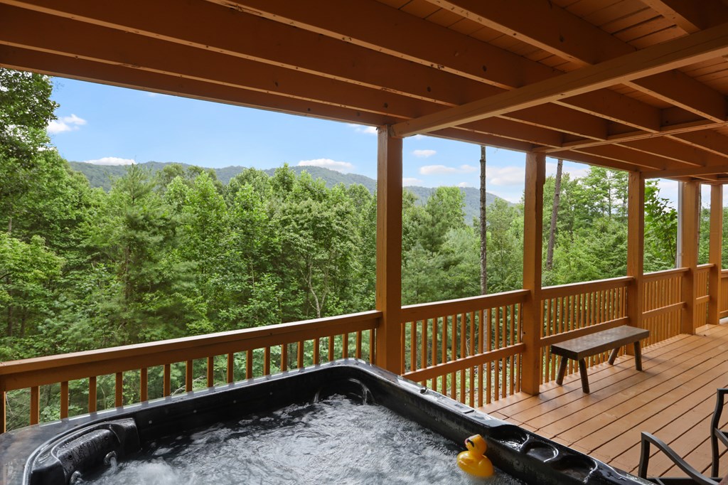 272 Laurel Mountain Road Blue Ridge, GA 30513 - Photo 56 of 56