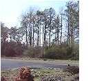 1 Pleasant Grove Road McDonald, TN 37311 - Photo 1 of 3 Primary Photo