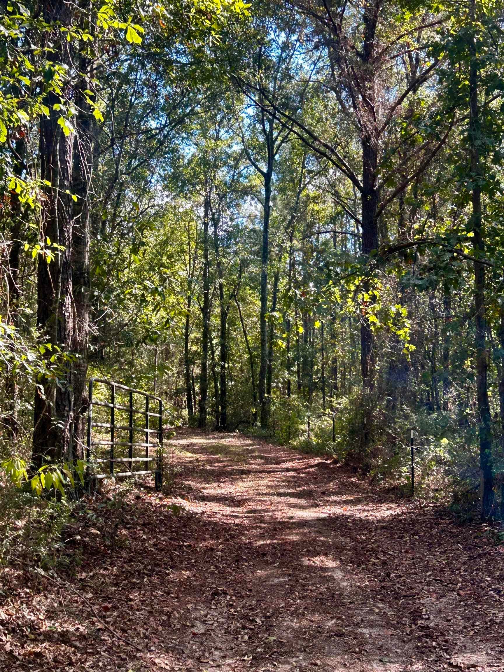 Swinson Road Red Level, AL 36474 - Photo 1 of 19 Gallery Image 1