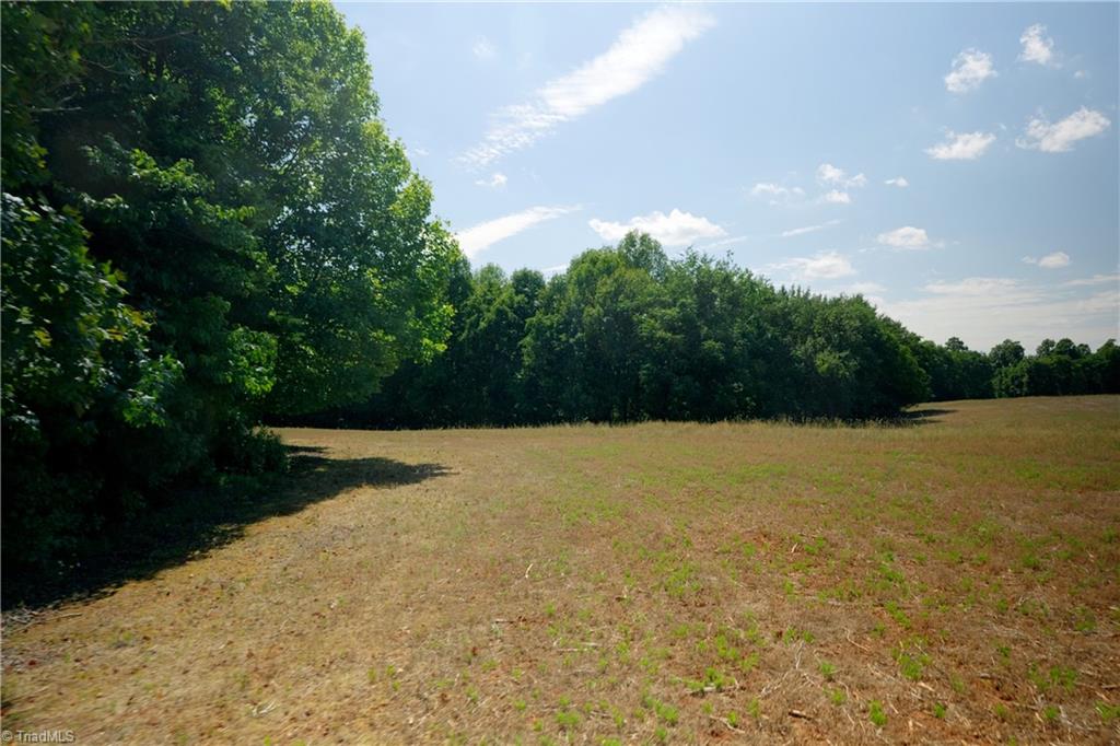 0 Tesh Road Germanton, NC 27019 - Photo 34 of 49 Gallery Image 34