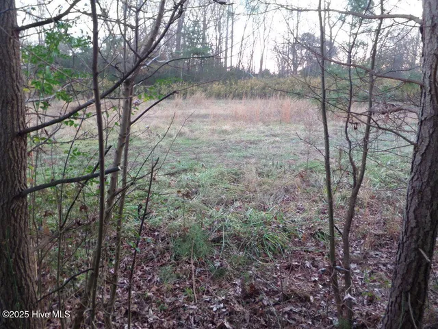 $25,000 | 401 South Maple Street, Oak City, NC 27857