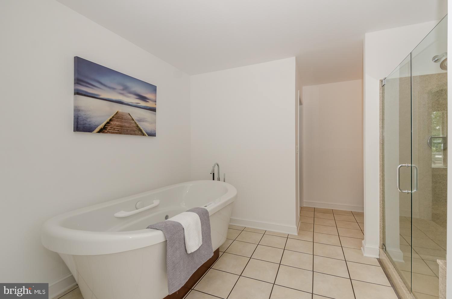 110 Wye Acres Road Queenstown, MD 21658 - Photo 21 of 47 With High End Luxury Bath