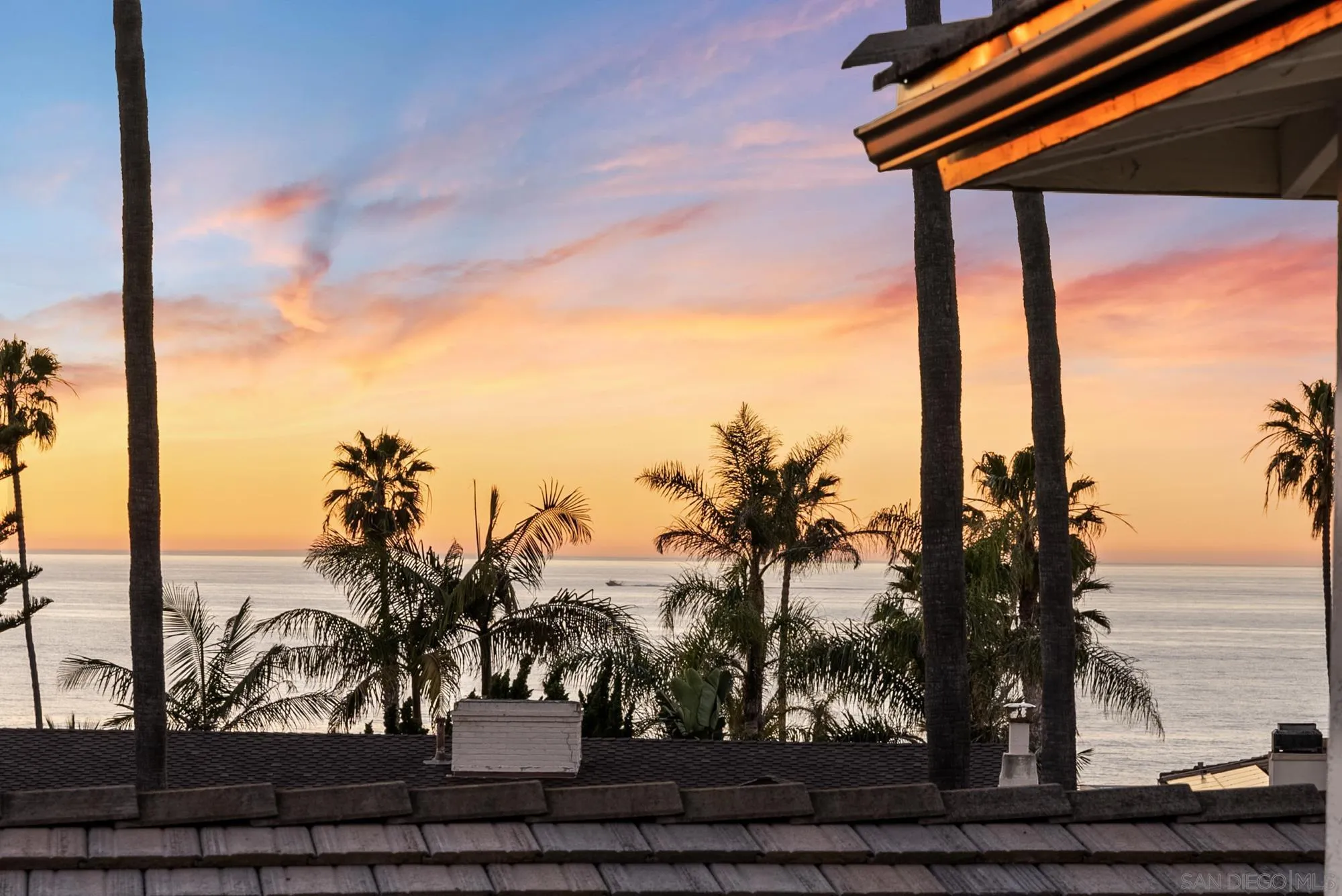 6423 Avenida Cresta La Jolla, CA 92037 - Photo 4 of 33 a view of a yard with palm trees