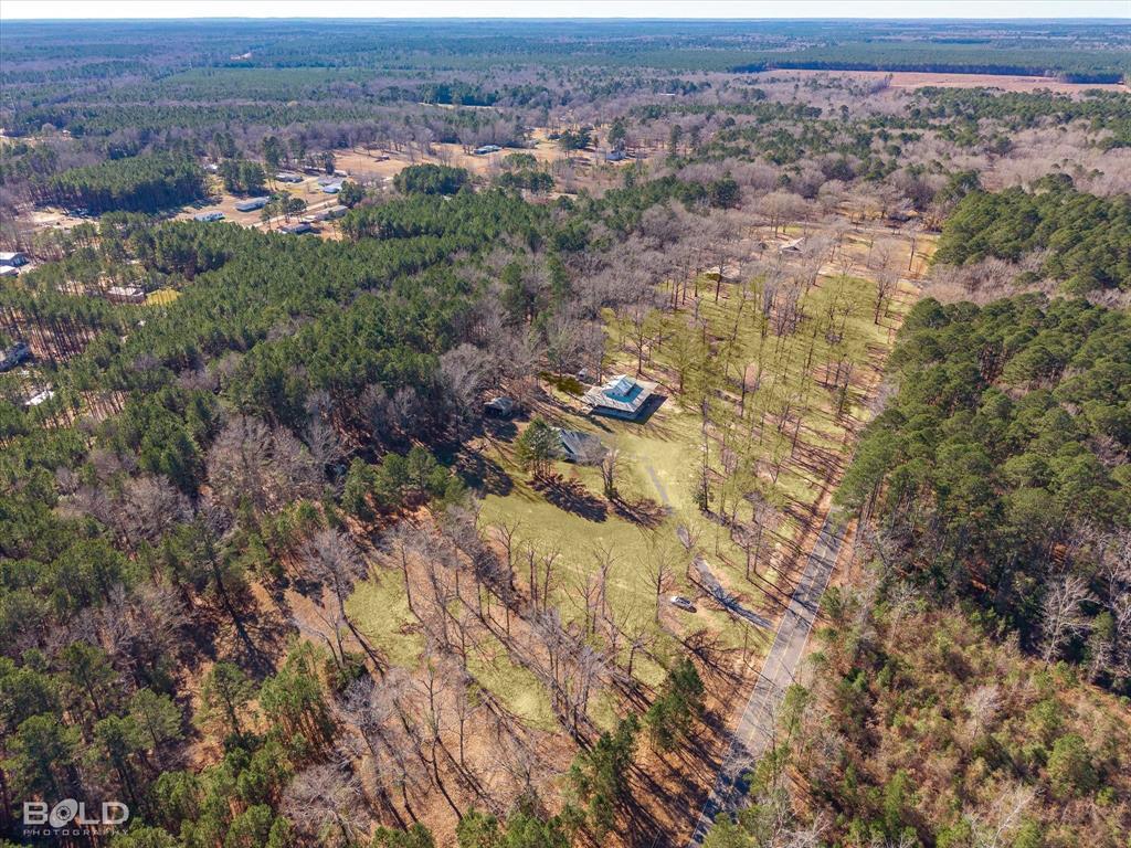 Expansive property featuring a mix of evergreen and deciduous trees, a central clearing with a single-family home, and a paved road bordering the perimeter