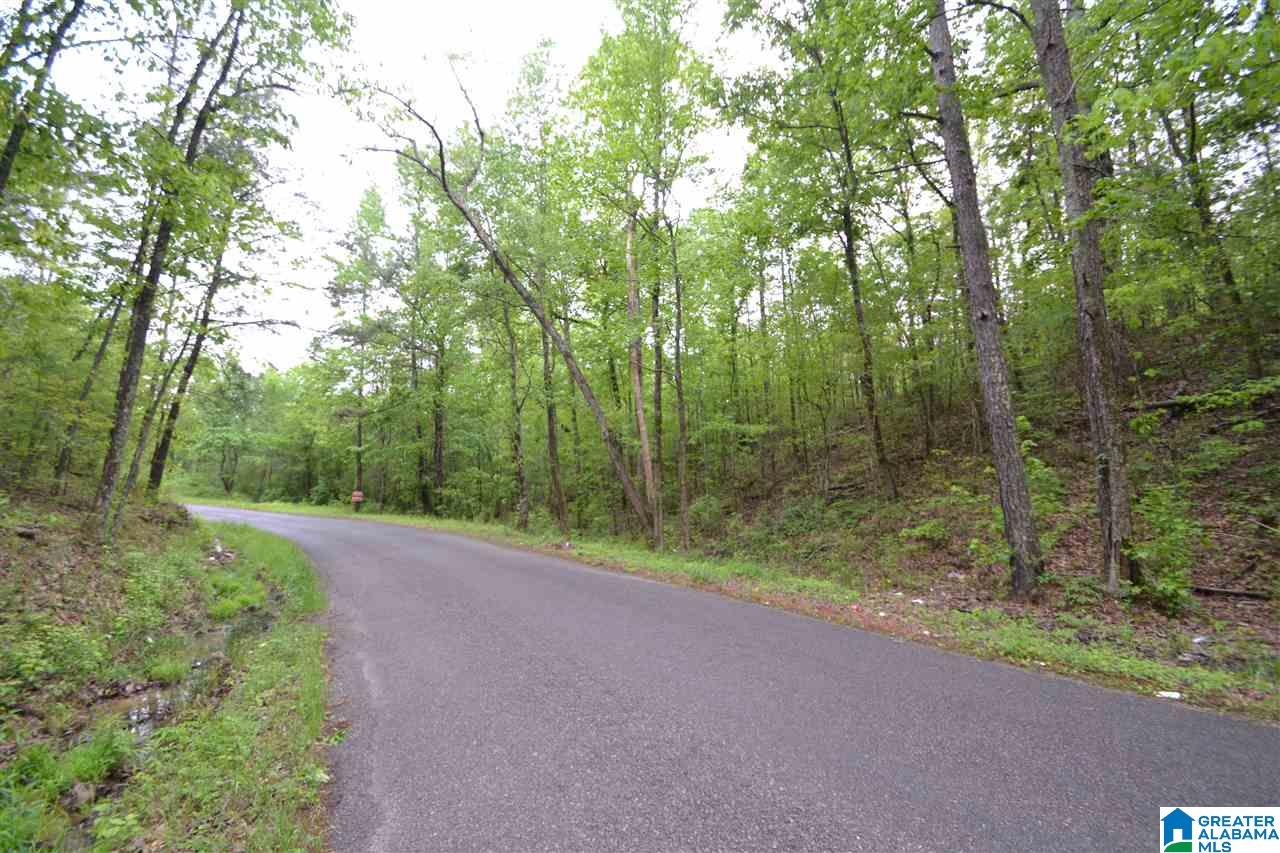 Elvester Road, Unit 1 Sumiton, AL 35148 - Photo 8 of 12